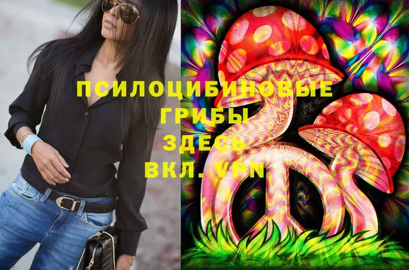 Псилоцибиновые грибы Magic Shrooms  даркнет сайт  Белокуриха 